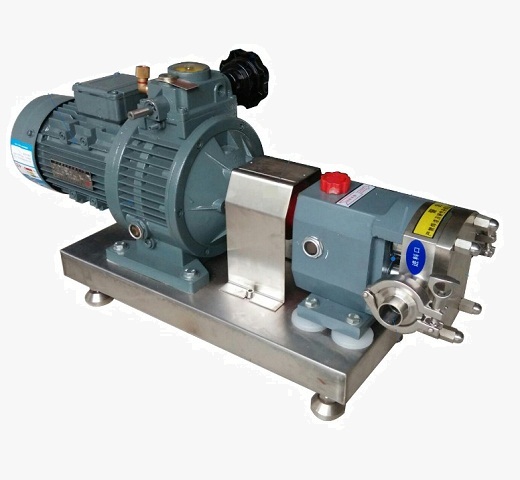 Rotary Lobe Pump